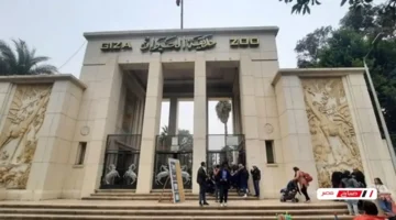 حديقة الحيوان بالجيزة تعلن موعد افتتاح تطويرها التاريخي بمظهر جديد